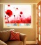fotorolety - Sun Set Andrzej Machera Marki
