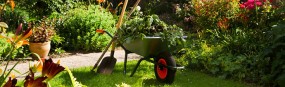 Nasi ogrodnicy podejmą się pielęgnacji każdego ogrodu...zarówno tego m - Greentar Ogrody Tarnów