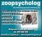 ZOOPSYCHOLOG - Zoopsycholog-Małgorzata Franek-Malinowska Koszalin