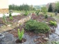Projektowanie ogrodów Kraków,Bochnia, Wieliczka, Nowy Sącz, małopo - Gaudium Garden Kraków