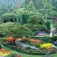 Zakładanie ogrodów Kraków, Bochnia, Wieliczka, Nowy Sącz, małopol - Gaudium Garden Kraków