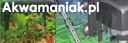 akwarystyka Częstochowa - Sklep zoologiczny Akwamaniak