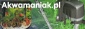 Akwarystyka - Sklep zoologiczny Akwamaniak Częstochowa