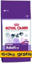 Royal Canin Giant Adult 28 PROMOCJA 18kg (15+3kg) - KAR-MA Kawecki Kuźmicki Zieliński Spółka Jawna Stare Babice