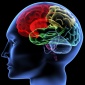 treningi Eeg biofeedback - Instytut Bio-Psyche s.c. Kraków