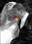 fotografia ślubna - Foto Art Studio Prabuty