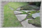 Projektowanie ogrodów i nie tylko. Orzesze - Gardenia