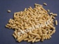 Pellet drzewny - Ekoplex Sp. z o.o. Gdynia