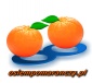 Organizacja Konferencji - Osiem Pomarańczy S.C. Szklarska Poręba