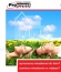 doradztwo finansowe - KREDYTY HIPOTECZNE - PROINVEST GROUP Gliwice