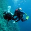 Kurs PADI OWD - Kokomoko Warszawa