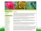 Usługi internetowe Strona WWW - Kęty WebsiteDesigners.pl