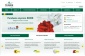Doradztwo internetowe - LemonMind Gdańsk