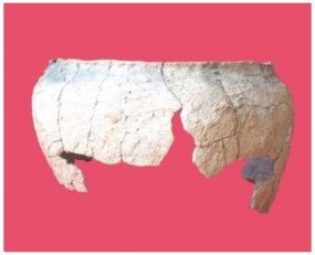 nadzory archeologiczne, badania wykopaliskowe - Firma Archeologiczna BETA Beata Kuraś-Pawlikowska Kraków