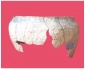 nadzory archeologiczne, badania wykopaliskowe - Firma Archeologiczna BETA Beata Kuraś-Pawlikowska Kraków