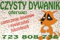 pranie-czyszczenie dywanów - Eco Friendly Auto - Spa Lesko