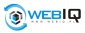 Projektowanie stron www - webIQ Łódź