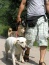 Wyprowadzanie psa - WalkDog Gdańsk