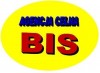 Agencja celna BIS