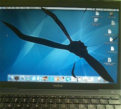 Wymiana uszkodzonej matrycy w laptopie - ITvip Obsługa Informatyczna Firm Gdańsk