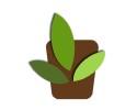 GREEN-BRUK