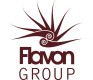 Flavon Group Polska Sp. z o.o.