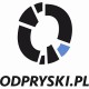 Odpryski.pl