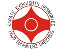 Sosnowiecki Klub Karate