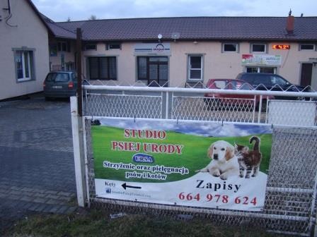 Strzyżenie Psów I Kotów Oraz Hotel Dla Kotów Studio Psiej Urody Ursa