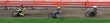 * Sponsoring,sponsoring sportowy,mecenat,filantrop