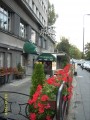 Teatrze BUFFO