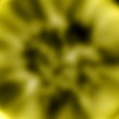 Liposomy z ceramidami