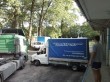 Niesort z Irlandii