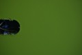 pomalowane
