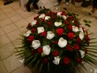 Wieniec