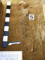 archeologiczne ...