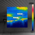 Termogram zawil...