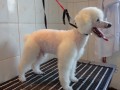po