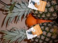 ananas bio
