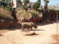 ZOO