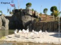 ZOO
