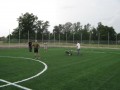 orlik w galewic...