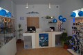 salon aetka Nip...