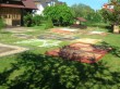 czyszczenie dywanów