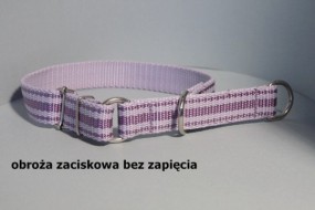 Obroża zaciskowa dla psa bez zapięcia 25mm - HappyHusky Marzena Pałka Kraków