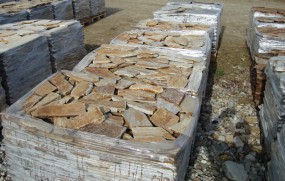 1-B - Pepper Fest Sp. z o.o. Toruń