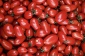 Nasiona Pomidory koktajlowe i zwykłe - Jaworzno PERFECT SEEDS Sprawdzone nasiona