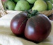 PERFECT SEEDS Sprawdzone nasiona Jaworzno - Pomidory koktajlowe i zwykłe