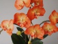 A-Z Decor Artykuły Dekoracyjne - Sztuczne orchidee Nadarzyn