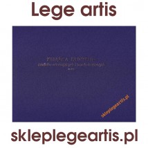 KSIĄŻKA KONTROLI ŚRODKÓW ODURZAJĄCYCH I PSYCHOTROPOWYCH - Lege artis - wyposażenie aptek i szkół medycznych Ruda Śląska